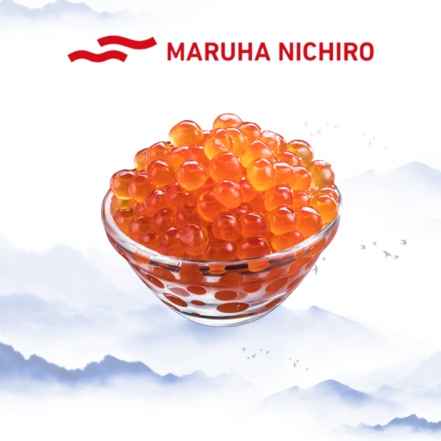 Ikura Salmon Roe Ikura 500G