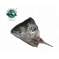 Frozen Salmon Fish Head 600-800G x 2